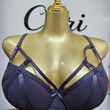 C-Cup Strappy Mesh Detail Bra for Women
