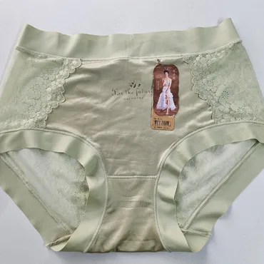 Mid High-Waist Lace Side Brief Panty – Sage Green